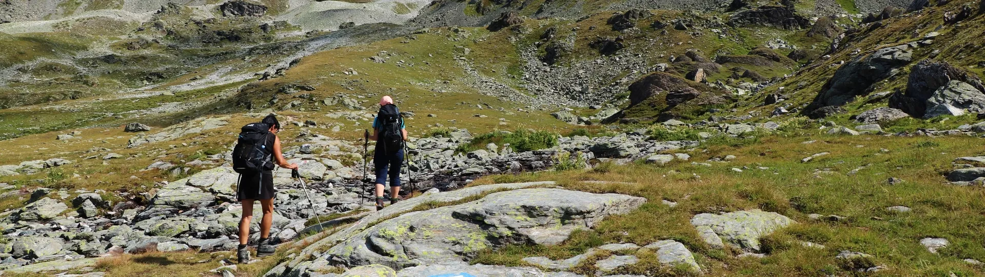 Sur Les Chemins De Chamonix Zermatt Liberte 7 Jours Altitude Montblanc