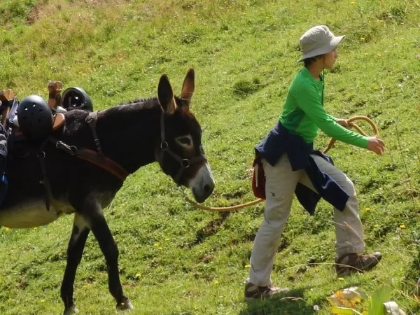 tour du cervin topo guide