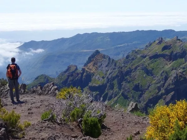 MADEIRA ISLAND : PICOS, LEVADAS AND WILD COAST