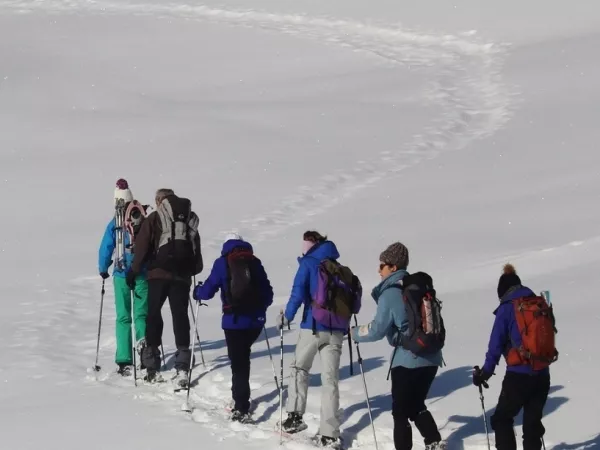 SNOWSHOEING IN THE ABONDANCE VALLEY