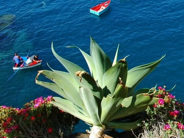 MADEIRA self-guided