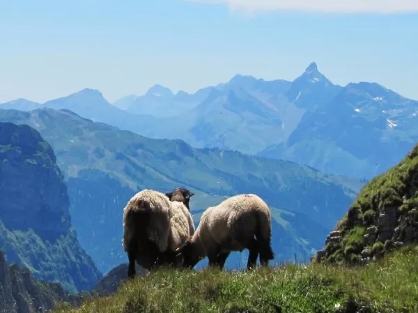 PANORAMA DE MORZINE en Liberté