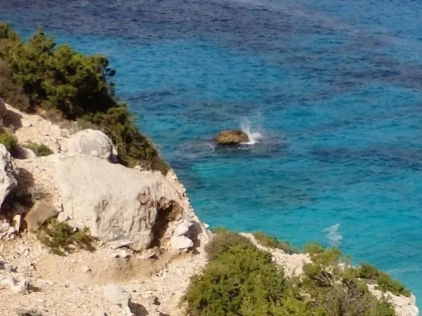 SARDAIGNE en Liberté