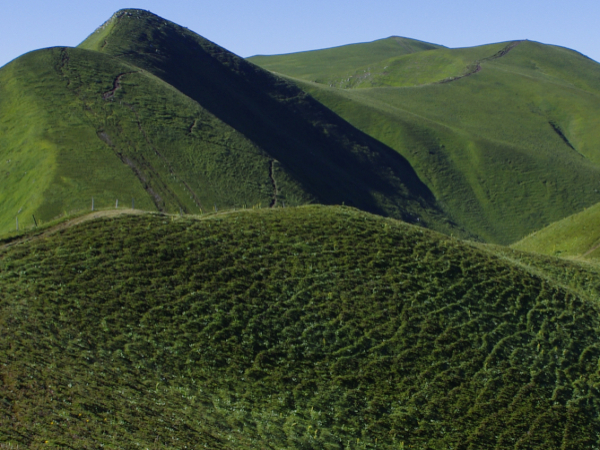 TOUR DU SANCY CONFORT en Liberté